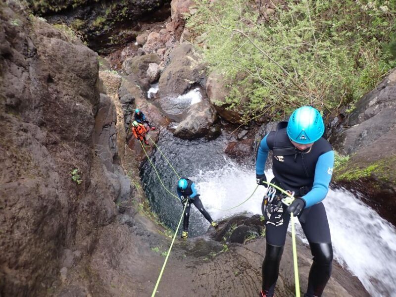 Canyoning Level 2 - Ribeira do Cidrão- Madeira Island - What Is Canyoning Level 2 in Madeira?