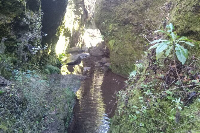 Canyoning Madeira Private/Small group tour - What Is Canyoning in Madeira?