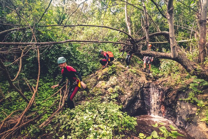 Canyoning with Waterfalls in the Rainforest - Small Groups ツ - Weather Rules: How Rain and Conditions Affect Your Route