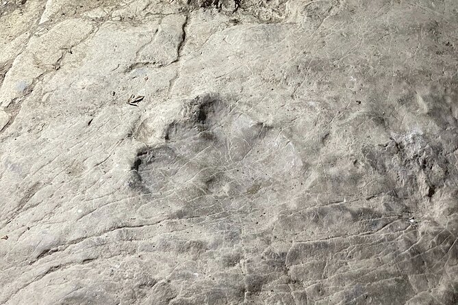 CANYONS & CAVE Tour from Kutaisi - Okatse, Martvili & Prometheus - Physical demands: what moderate fitness usually means here