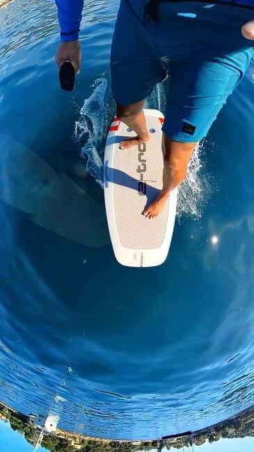 CAP D'ANTIBES: AUDI EFOIL PREMIUM EXPERIENCE - An In-Depth Look at the Audi Efoil Premium Experience