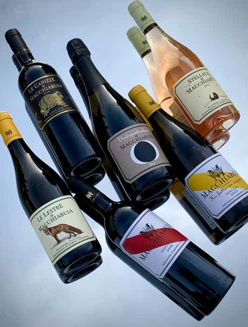 Capalbio: Wine and olive oil tasting with a view of the vineyards - Key Points