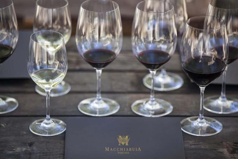 Capalbio: Wine and olive oil tasting with a view of the vineyards - What to Expect from the Experience