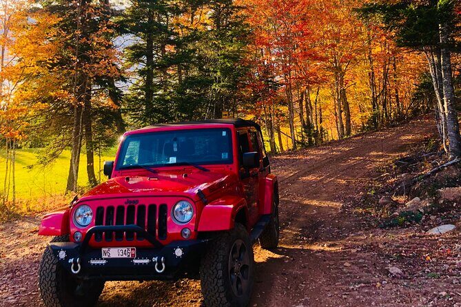 Cape Breton Fall Colours Tour On and Off Road - Who Is This Tour For?