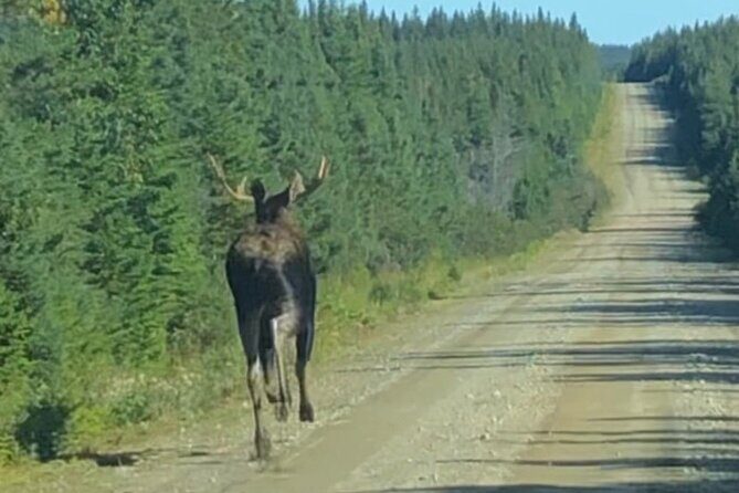 Cape Breton Waterfall Jeep Excursion - Biggest Waterfall in NS - FAQ About the Cape Breton Waterfall Jeep Excursion