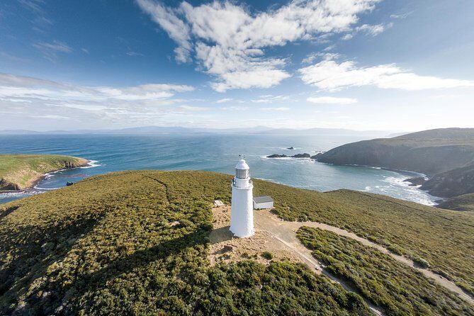 Cape Bruny Lighthouse Tour - Bruny Island - Why This Tour Could Be a Great Pick for You