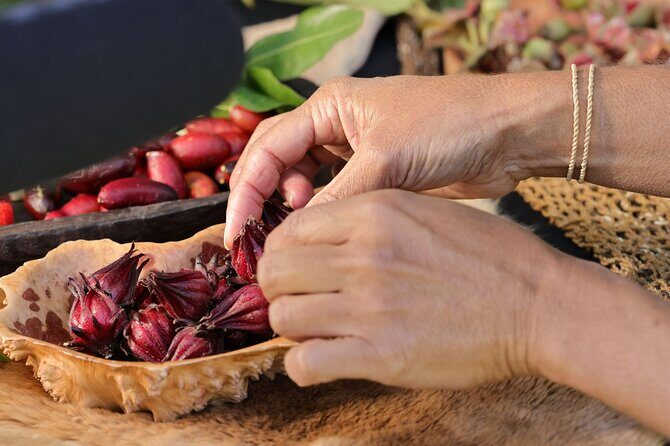 Cape Byron Aboriginal Tour - Final Thoughts