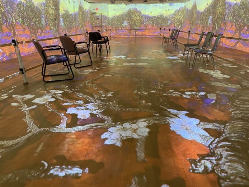 Cape Canaveral: Wizard of Oz Museum Entry Ticket - The Experience in Detail