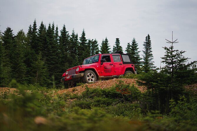 Cape Clear Look-off Express - Private Jeep Tour - The Experience in Detail