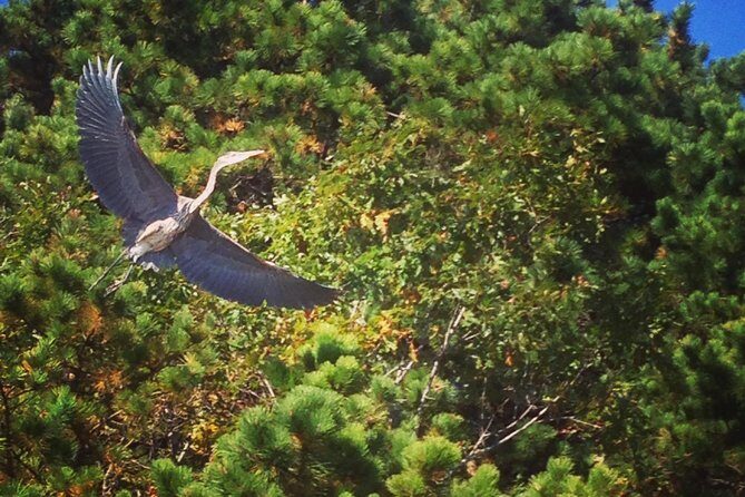 Cape Cod Explorer Tour - FAQ