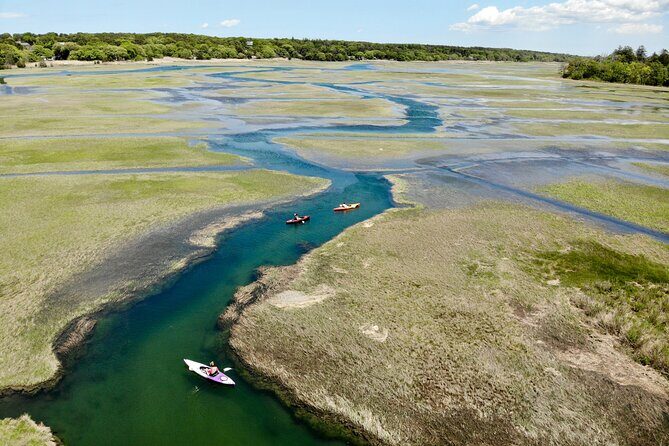 Cape Cod Kayak Rentals in the Great Marsh - Discovering the Great Marsh: What to Expect