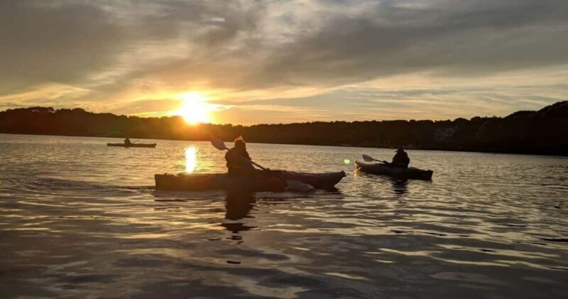 Cape Cod: Sunset Kayak Tour - What to Expect on the Cape Cod Sunset Kayak Tour