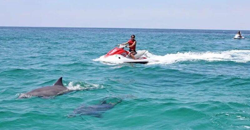 Cape Coral and Fort Myers: Wild Life Jet Ski Tour - Detailed Breakdown of the Tour Experience