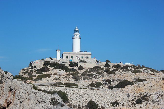 Cape Formentor Boat Trip in Mallorca - What the Reviews Say