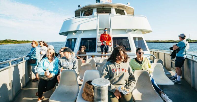 Cape May: Cape May Island Sunset Cruise & Dolphin Watching - Key Points