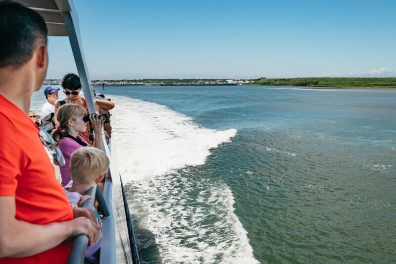 Cape May: Jersey Shore Whale and Dolphin Watching Cruise - Practical Details & Tips