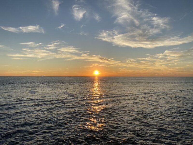 Cape May: Sunset Dolphin Watching Cruise with Food - Key Points