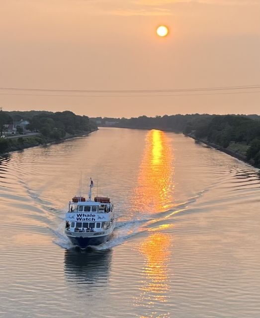 Cape May: Sunset Dolphin Watching Cruise with Food - FAQ
