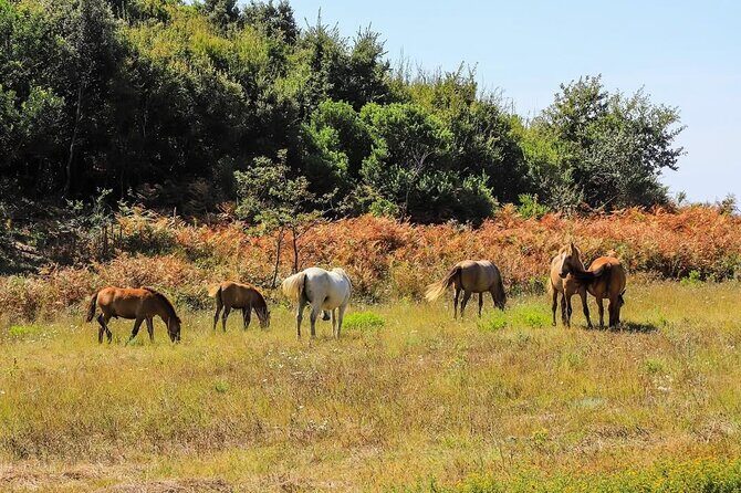 Cape of Rodon & Bunkers Day Tour Adventure from Durres - FAQs