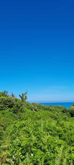 Cape of Rodon, Hiking to Castle, Beach, Wine testing tour! - How Much Is It? Is It Worth It?