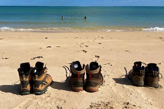 Cape Range National Park Full-Day Trekking Adventure - Who Should Consider This Tour