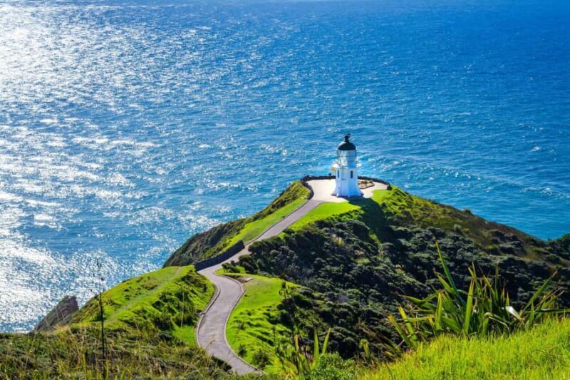 Cape Reinga: Day Trip from Paihia, Kerikeri, or Kaitaia - An Honest Look at the Cape Reinga Day Trip
