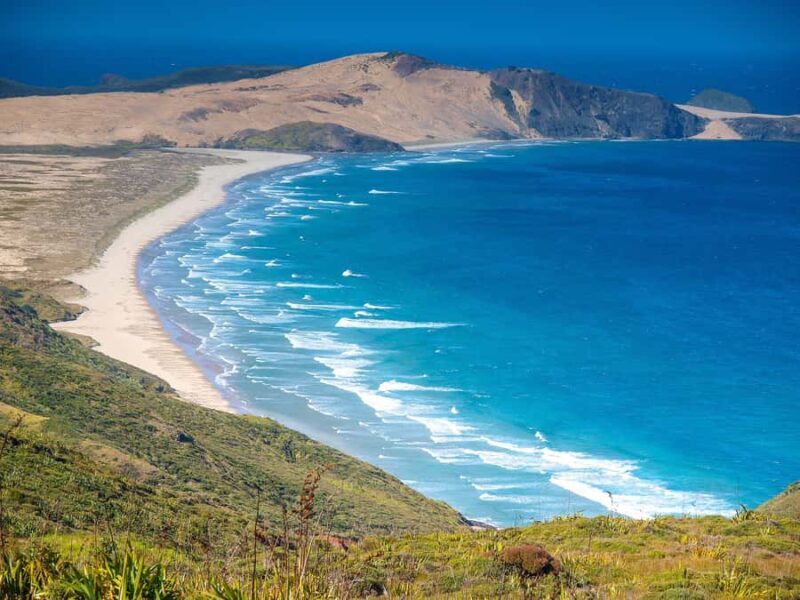 Cape Reinga: Day Trip from Paihia, Kerikeri, or Kaitaia - Who is This Tour Best Suited For?