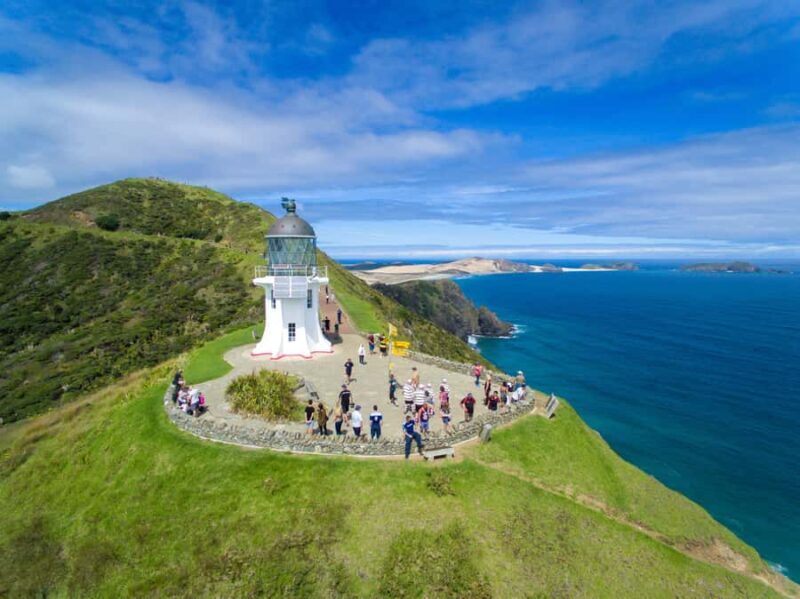 Cape Reinga: Mori Culture Experience with Ngti Kur Tribe - The Small Group Advantage