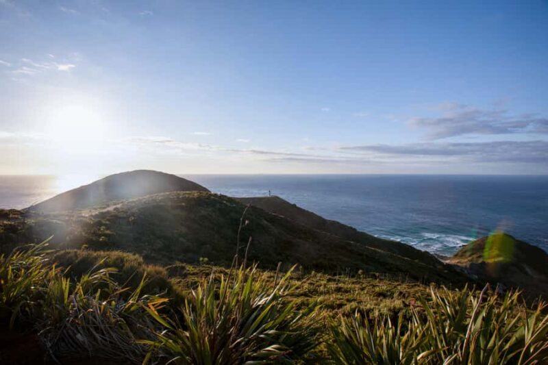 Cape Reinga: Mori Culture Experience with Ngti Kur Tribe - Final Thoughts