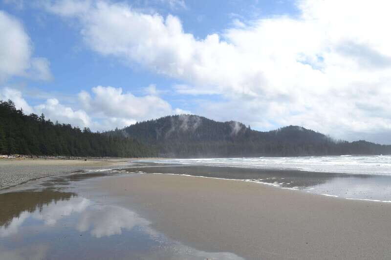 Cape Scott: San Josef Bay Day Hike with Scenic Drive - Pricing and Value