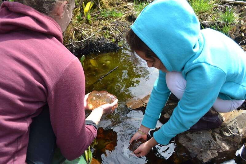 Cape Scott: San Josef Bay Day Hike with Scenic Drive - Overall Experience and Who It’s Best For