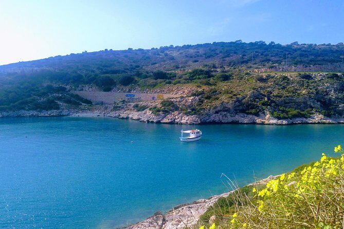 Cape Sounion & Vouliagmeni Lake Private Half-Day Trip from Athens - Who Should Consider This Tour?