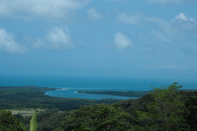 Cape Tribulation & Daintree Wilderness (TCT) - A Deep Dive into the Experience