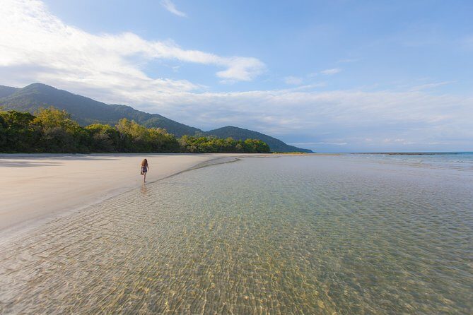 Cape Tribulation & Daintree Wilderness (TCT) - Price, Value, and Overall Impression