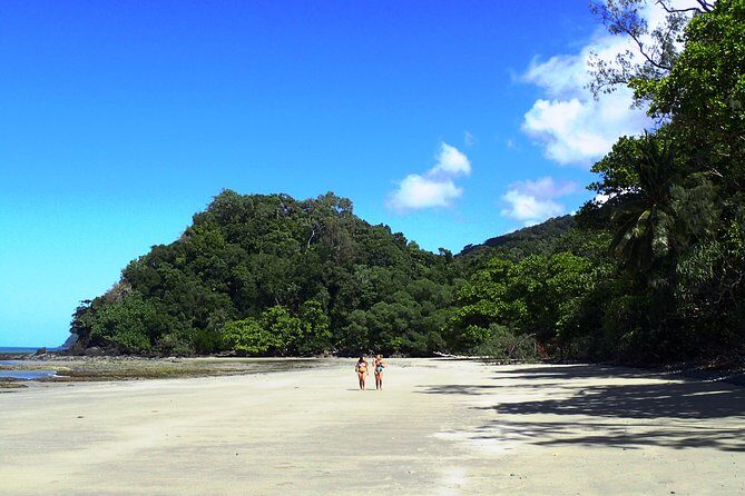 Cape Tribulation Day Tour from Cairns - The Cost: Value for Money?