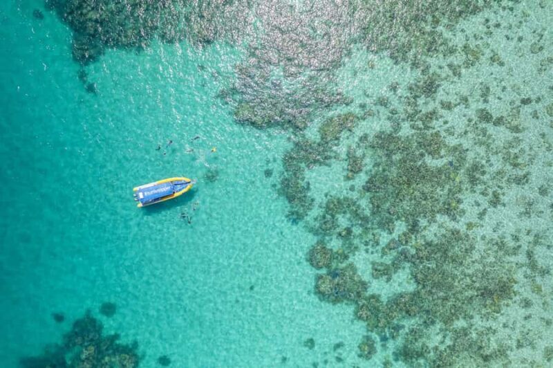 Cape Tribulation Ocean Safari - Great Barrier Reef Adventure - The Experience in Full
