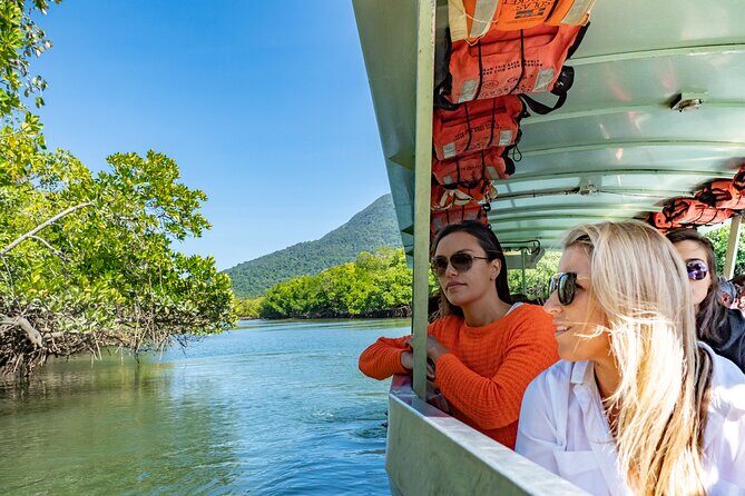 Cape Tribulation & Ziplining: Ultimate Daintree - What You Can Expect From the Experience