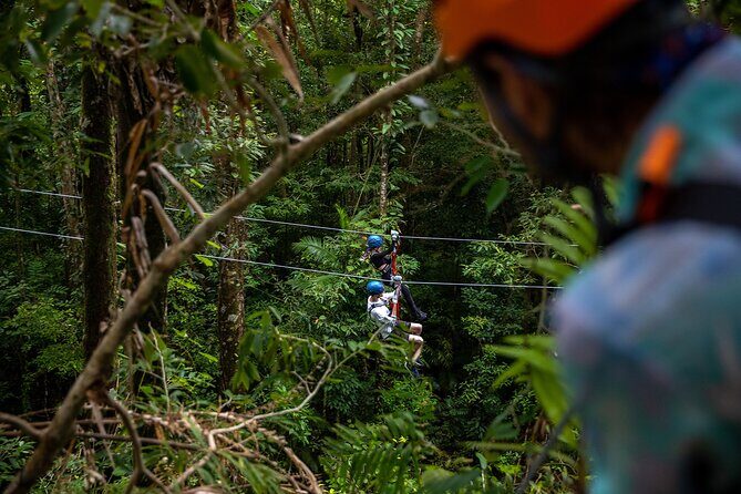 Cape Tribulation & Ziplining: Ultimate Daintree - Final Thoughts