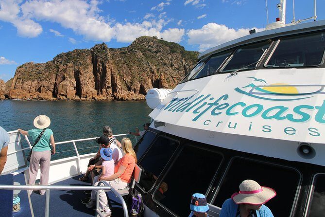 Cape Woolamai Sightseeing Cruise from San Remo - Itinerary and Highlights