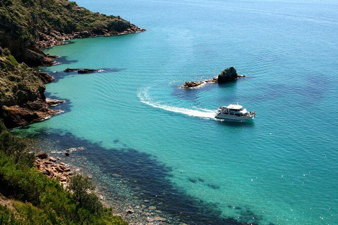 Cape Woolamai Sightseeing Cruise from San Remo - The Value and Price Point