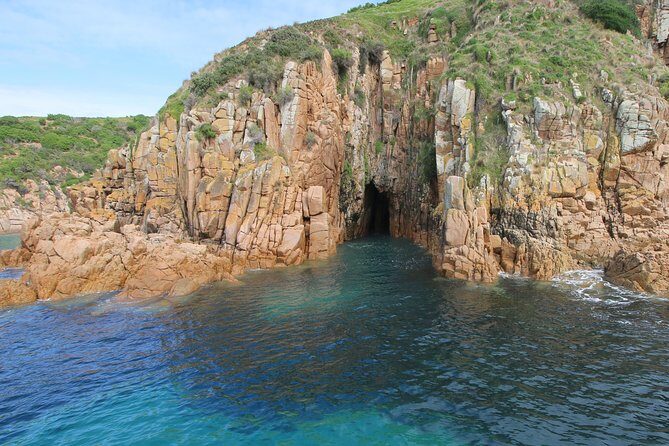 Cape Woolamai Sightseeing Cruise from San Remo - Potential Downsides and Considerations