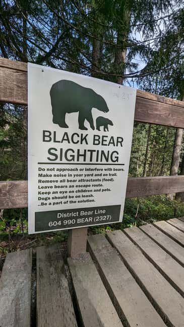 Capilano Br+Granville Isl+Capilano Hatchery+Lynn Canyon Tour - An Honest Look at the Tour