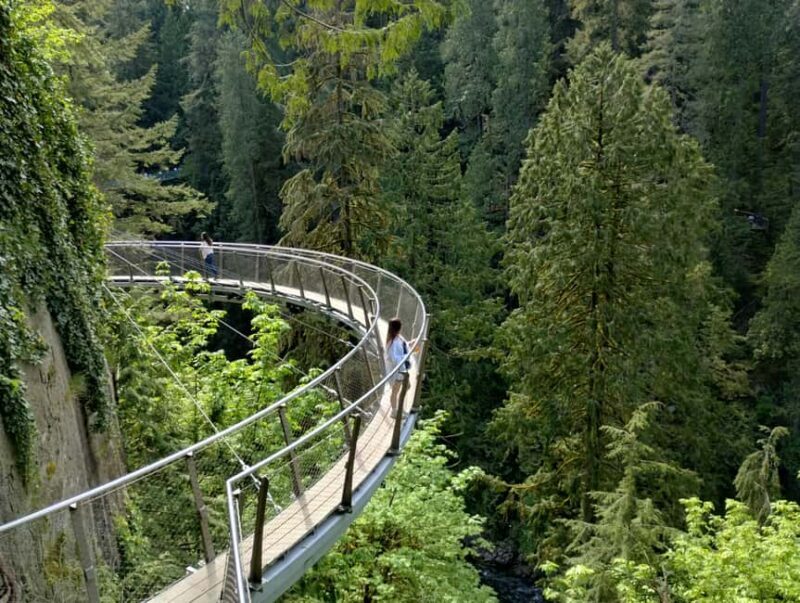 Capilano Br+Grouse Mtn+Dam+Lake&Hatcher/5in1/Small Group/Car - What’s Included and What’s Not