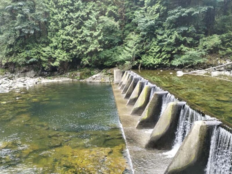 CAPILANO BR+GROUSE Mtn+STANLEY P+DAM+LAKE+HATCHERY/CAR/9in1 - The Takeaways from Visitors’ Experiences