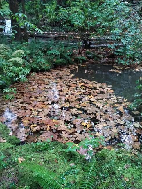 CAPILANO BR+GROUSE Mtn+STANLEY P+DAM+LAKE+HATCHERY/CAR/9in1 - Final Thoughts