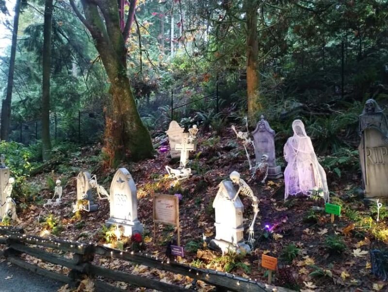 CAPILANO BR+GROUSE Mtn+STANLEY P+DAM+LAKE+HATCHERY/CAR/9in1 - FAQ