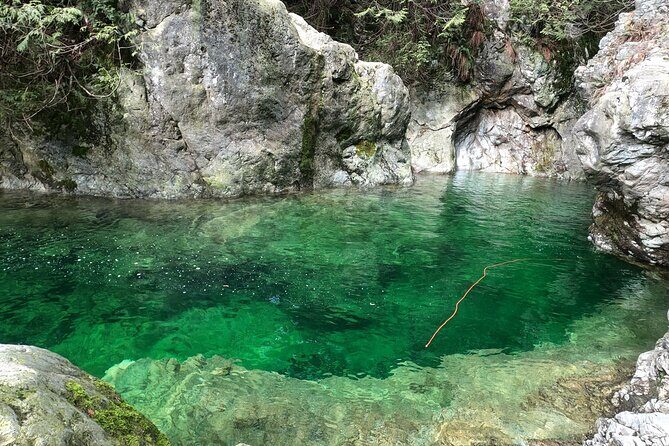 Capilano Suspension Bridge, Lynn Canyon & Capilano Hatchery Tour - Final Thoughts