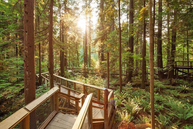 Capilano Suspension Bridge Park Ticket - Who Should Consider This Experience?
