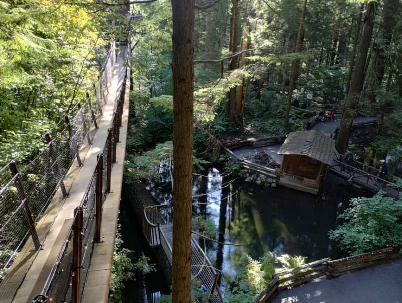 Capilano Suspension Br+Lake+Dam+Hachery/4in1/CAR/Small GROUP - Final Thoughts