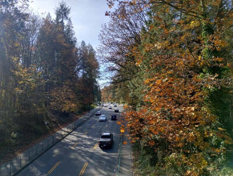 Capilano Suspension Br+Lake+Dam+Hachery/4in1/CAR/Small GROUP - FAQ